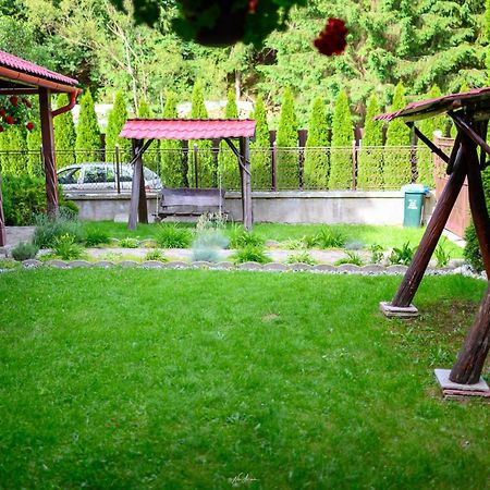 Arieşeni Casa Alinaヴィラ エクステリア 写真