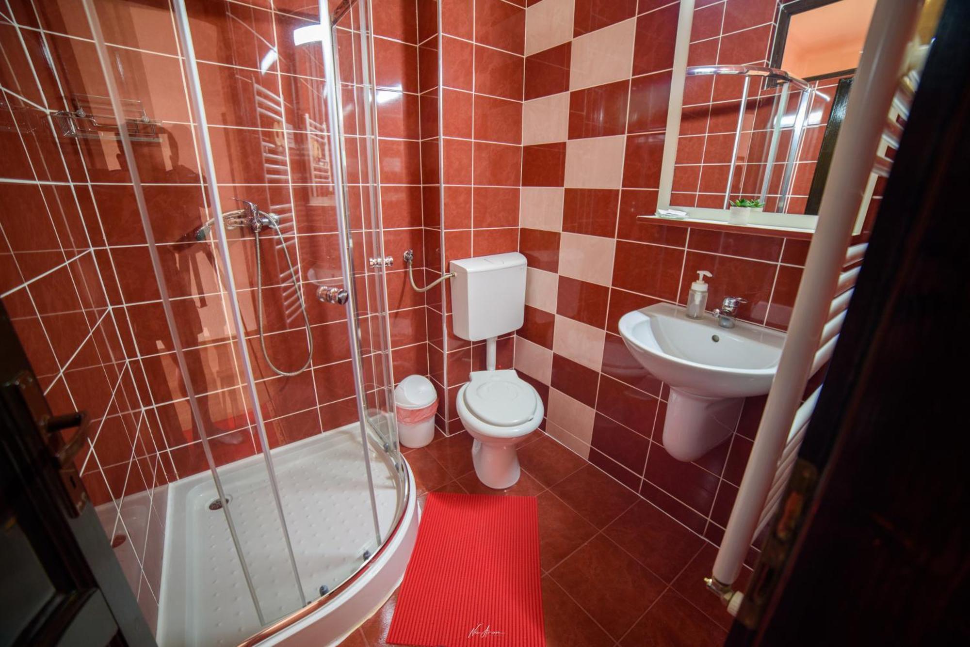 Arieşeni Casa Alinaヴィラ エクステリア 写真