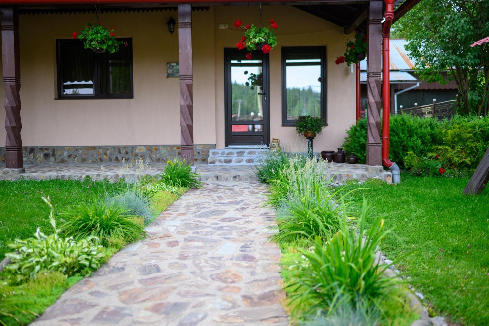 Arieşeni Casa Alinaヴィラ エクステリア 写真