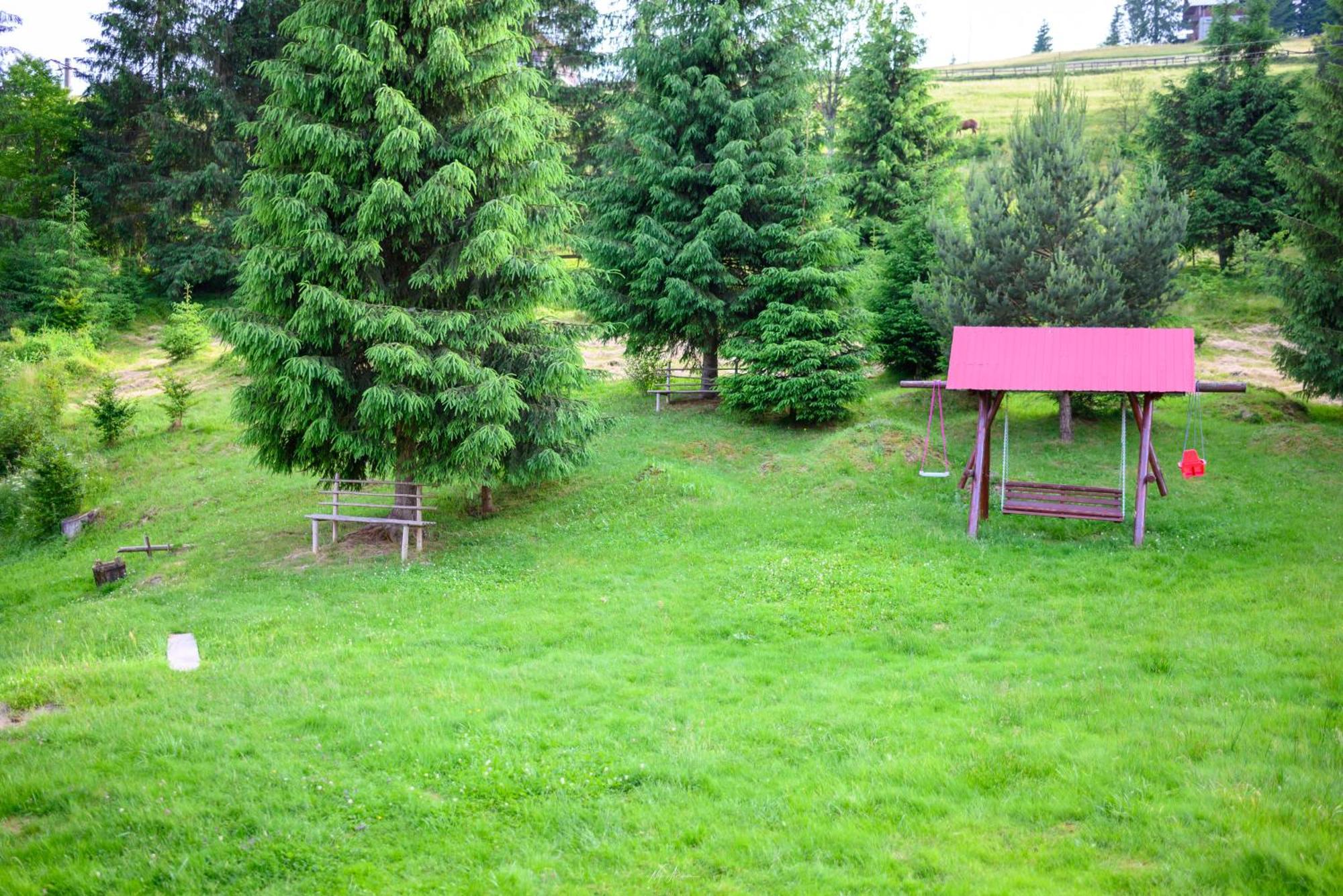 Arieşeni Casa Alinaヴィラ エクステリア 写真