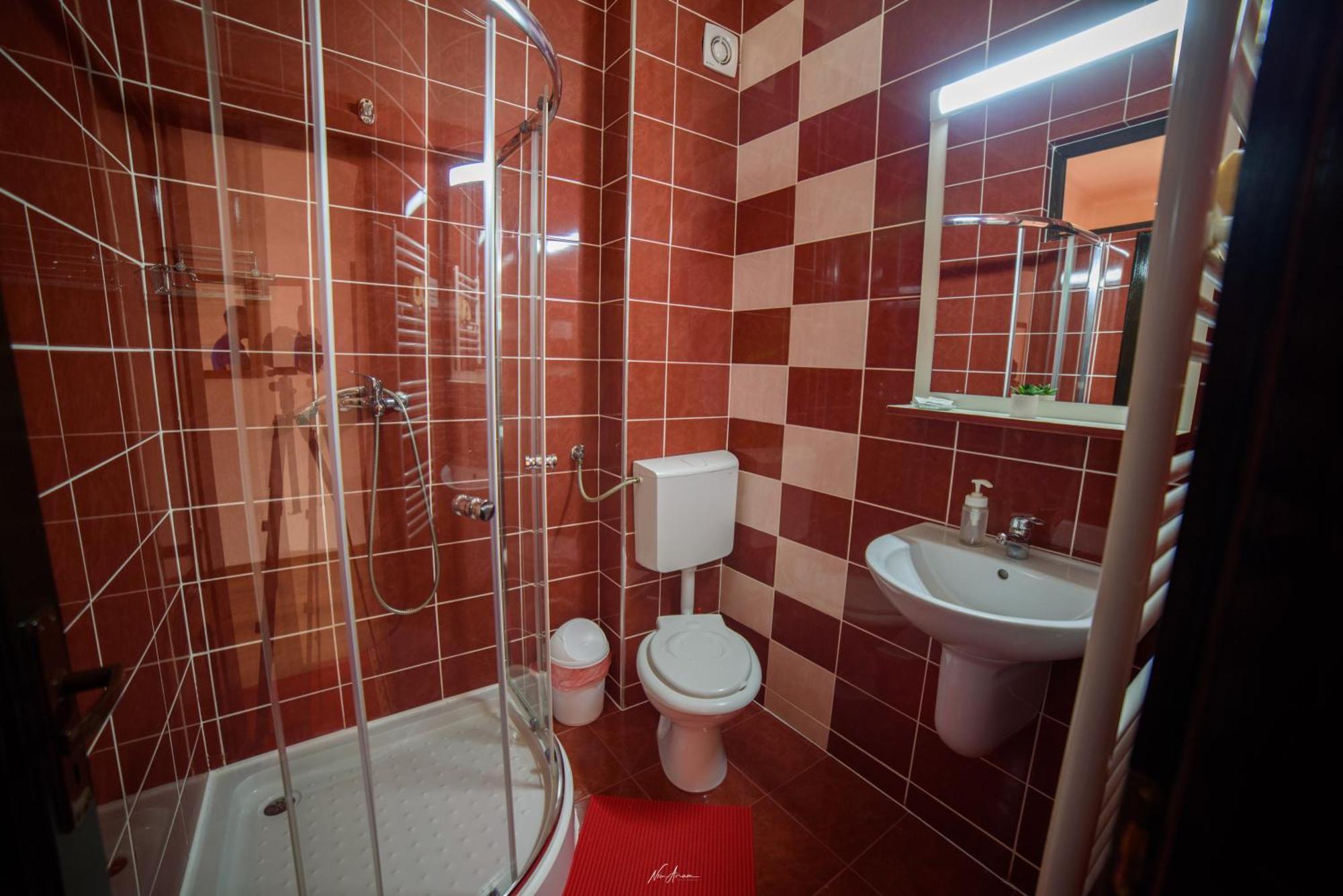 Arieşeni Casa Alinaヴィラ エクステリア 写真